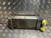 Ladeluftkühler 00000384G5 Citroën Berlingo Van 1.6 HDI 16V 90 (DV6ATED4(9HX))