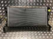 Radiator 214100004R Renault Laguna III (BT) Schrägheck 5-drs 1.5 dCi 110 (K9K-780)