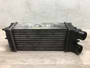 Ladeluftkühler 00000384G5 Citroën Xsara Picasso (CH) Großraumlimousine 1.6 HDi 16V 110 (DV6TED4(9HZ))