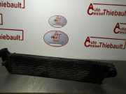 Ladeluftkühler 8200292773 Renault Laguna II (BG) Schrägheck 5-drs 2.0 dCi 16V (M9R-740)