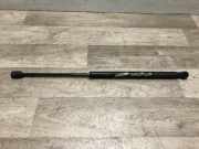 Gasdruckfeder Hinten Alfa Romeo Brera (939) Coupé 2.0 JTDm 16V (939.B.3000)