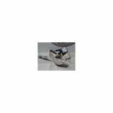 Sicherheitsgurt Links Hinten 7337005081C0 Toyota Avensis Wagon (T25/B1E) Kombi 2.0 16V D-4D (1CD-FTV) 2003