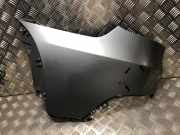 Kotflügel Links Hinten 41217174353 BMW X5 (E70) SUV xDrive 30d 3.0 24V (M57N2-D30(306D3))