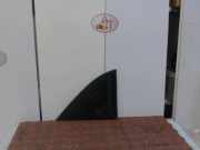 Dreieckscheibe Links Hinten 2024148 Ford Grand C-Max (DXA) Großraumlimousine 1.6 TDCi 16V (T1DA)