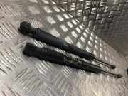 Gasdruckfeder Hinten 904529943R Dacia Sandero II