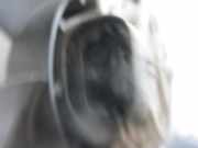 Kühlerlüfter 9812028580 Peugeot 207/207+ (WA/WC/WM) Schrägheck 1.4 HDi (DV4TD(8HZ))