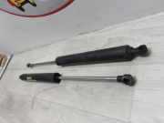 Gasdruckfeder Hinten 8200246092 Renault Vel Satis (BJ) Großraumlimousine 2.0 dCi 16V 150 FAP (M9R-760)