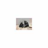 Motorhaubescharnier 1708800128 Mercedes-Benz SLK (R170) Cabrio 2.0 200 K 16V (M111.958) 2003