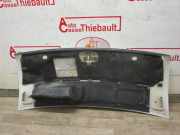 Motorhaube 0001340587080 Fiat Ducato (250) Van 2.3 D 120 Multijet (F1AE0481D)