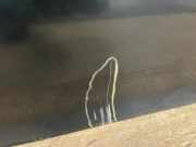 Tür Links Vorne 1K4831301AB Volkswagen Golf V (1K1) Schrägheck 1.9 TDI (BKC) BKC