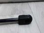 Gasdruckfeder Hinten 8200299546 Volkswagen Golf VI (5K1) Schr?gheck 1.6 TDI 16V (CAYC) CAYC