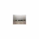 Schaltzug 344138320R Dacia Sandero III Schrägheck 1.0 TCe 100 12V ECO-G (H4D-480) 2021