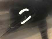 Tür Rechts Vorne 1Y0831052N Volkswagen New Beetle (1Y7) Cabrio 1.9 TDI (BSW) BSW