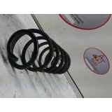 Schraubenfeder Hinten 51795369 Fiat Stilo (192A/B) Schrägheck 1.6 16V (182.B.6000)