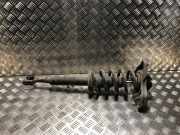 Federbein Links Vorne 8E0413031CC Audi A4 Avant (B6) Kombi 2.0 FSI 16V (AWA)