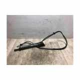 Gasdruckfeder Vorne Volkswagen New Beetle (1Y7) Cabrio 1.4 16V (BCA) 2003 BCA