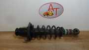 Stoßdämpfer Links Hinten 4853049725 Toyota Prius (NHW20) Liftback 1.5 16V (1NZ-FXE)