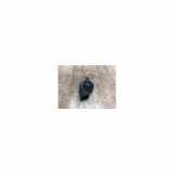 Hupe 8P0951210A Audi A3 2 PHASE 1 2.0 TDI - 16V TURBO QUATTRO 4X4 2006