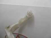 Scheibenwaschbehälter 00006431N6 Citroën C3 (SC) Schrägheck 5-drs 1.6 16V VTi 120 (EP6C(5FS))