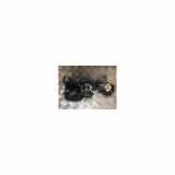 Sicherheitsgurt Links Hinten 8V3857805V04 Audi A3 Sportback (8VA/8VF) Schrägheck 5-drs 1.5 35 TFSI 16V (DADA) 2019