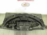 Armaturenbrett Renault Scénic III (JZ) Großraumlimousine 1.9 dCi (F9Q-872(F9Q-P8))
