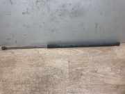 Gasdruckfeder Hinten 00008731E0 Citroën Berlingo Cinqspace, Multispace Großraumlimousine 2.0 HDI (DW10TD(RHY))