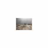 Schaltzug 31367747 Volvo V40 (MV) Schrägheck 5-drs 1.6 T2 GTDi 16V (B4164T4(Euro 5)) 2015