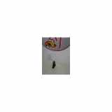 Scheibenwaschpumpe Vorne 6001549444 Dacia Logan MCV (KS) Kombi 1.5 dCi (K9K-796) 2008