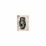 Kennzeichenbeleuchtung LINKS Renault Twingo III (AH) Schrägheck 5-drs 0.9 Energy TCE 90 12V (H4B-C4) 2015