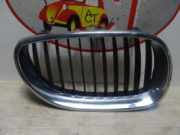 Grill Zierliste Rechts Vorne 51137027062 BMW 5 serie (E60) Limousine 530d 24V (M57N-D30(306D2)) 2003