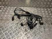 Pdc Sensor Set 3D0998275A Volkswagen Touareg (7LA/7L6) SUV 2.5 TDI R5 (BPE) BPE