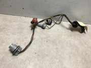 Kennzeichenbeleuchtung LINKS Hyundai i30 Schrägheck 1.6 CRDi 16V VGT HP (D4FB)