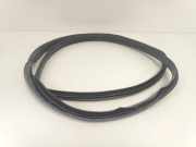 T?rgummis Links Hinten A1696920176 Mercedes-Benz A (W169) Schr?gheck 1.7 A-170 (M266.940) 2007-03