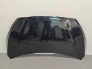 Motorhaube 664001J500 Hyundai i20 Schrägheck 1.2i 16V (G4LA) 2012-09