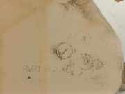 Ausgleichbehälter N05001A200 Ford Fiesta 6 (JA8) Schrägheck 1.25 16V (SNJD) 2010-04