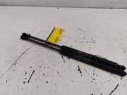 Gasdruckfeder Set Vorne 60654724 Alfa Romeo 156 Sportwagon (932) Kombi 1.9 JTD (937.A.2000) 2002