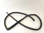 TÃ¼rgummis Links Hinten 6233205090B0 Toyota Avensis Wagon (T25/B1E) Kombi 1.8 16V VVT-i (1ZZFE) 2007-08