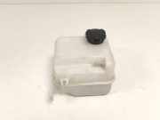 AusgleichbehÃ¤lter 254302S000 Hyundai iX35 (LM) SUV 2.0 16V (G4KD) 2010-07