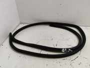 T?rgummis Rechts Hinten 7066618 BMW 1 serie (E87/87N) Schr?gheck 5-drs 118d 16V (M47-D20(204D4)) 2005