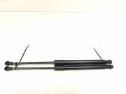 Gasdruckfedern Set Hinten 8200385560 Renault Twingo II (CN) Schrägheck 3-drs 1.2 16V (D4F-770) 2012-08