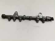EinspritzdÃ¼sen DÃ¼senstock 0445214222 Opel Corsa D SchrÃ¤gheck 1.3 CDTi 16V ecoFLEX (A13DTC(Euro 5)) 2013