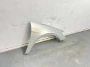 Kotfl?gel Rechts Vorne 3C8821022 Volkswagen Passat CC (357) Coup? 2.0 TDI 16V 140 (CFFB(Euro 5)) 2010-10 CFFB(Euro 5)