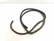 TÃ¼rgummis Links Vorne 821100X000 Hyundai i10 (F5) SchrÃ¤gheck 1.1i 12V (G4HG) 2008-10