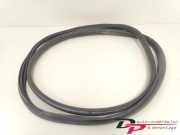 Türgummi links vorne Renault Grand Scenic III JZ 808330007R