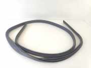 Türgummis Rechts Vorne BM51A20530AF Ford Focus 3 Schrägheck 1.0 Ti-VCT EcoBoost 12V 100 (SFDB) 2012-06