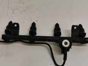 Einspritzd?sen D?senstock 7700273702 Renault Megane (BA) Schr?gheck 5-drs 1.4i RL,RN (E7J-764) 1999-07