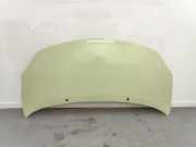 Motorhaube 7751477649 Renault Twingo II (CN) SchrÃ¤gheck 3-drs 1.2 (D7F-800) 2009-06