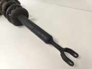 Federbein Links Vorne 4F0413031AM Audi A6 (C6) Limousine 3.0 TDI V6 24V Quattro (BMK) 2004-11