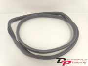 Türgummi links hinten Renault Zoe Kasten/Schrägheck BFM 769236661R