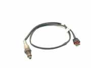 Lambdasonde J1B19G444AB Ford Fiesta 7 Schrägheck 1.0 EcoBoost 12V 100 (SFJF) 2019-09